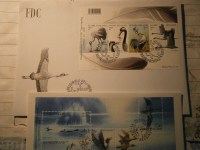 Finnland Partie mit Blcken, Heftchenbgen, Stzen als FDC